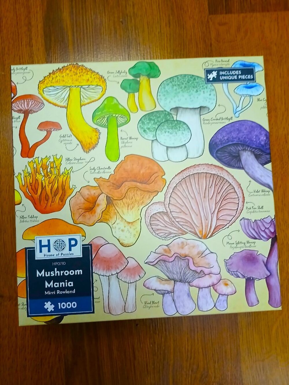 House of Puzzles Mushroom Mania Jigsaw Puzzle, 1000 Pieces